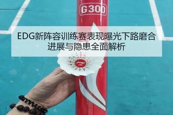 EDG新阵容训练赛表现曝光下路磨合进展与隐患全面解析